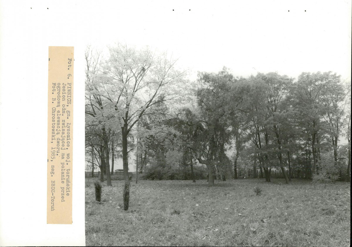 EP - Ewidencja parkowa, skan nr 28