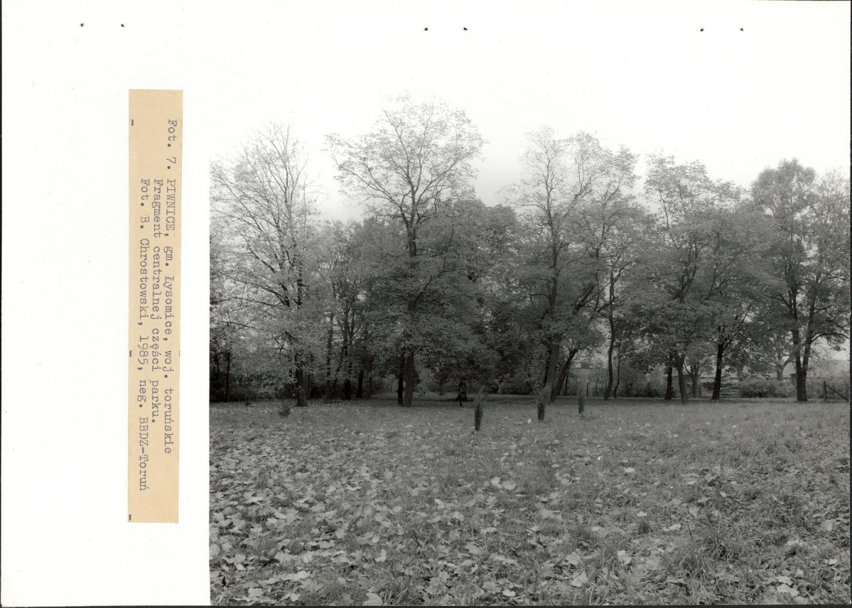 EP - Ewidencja parkowa, skan nr 29