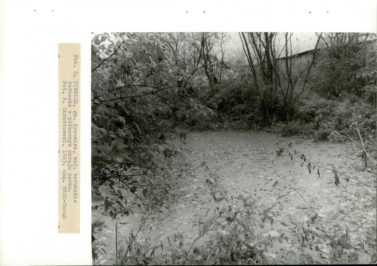 EP - Ewidencja parkowa, skan nr 30