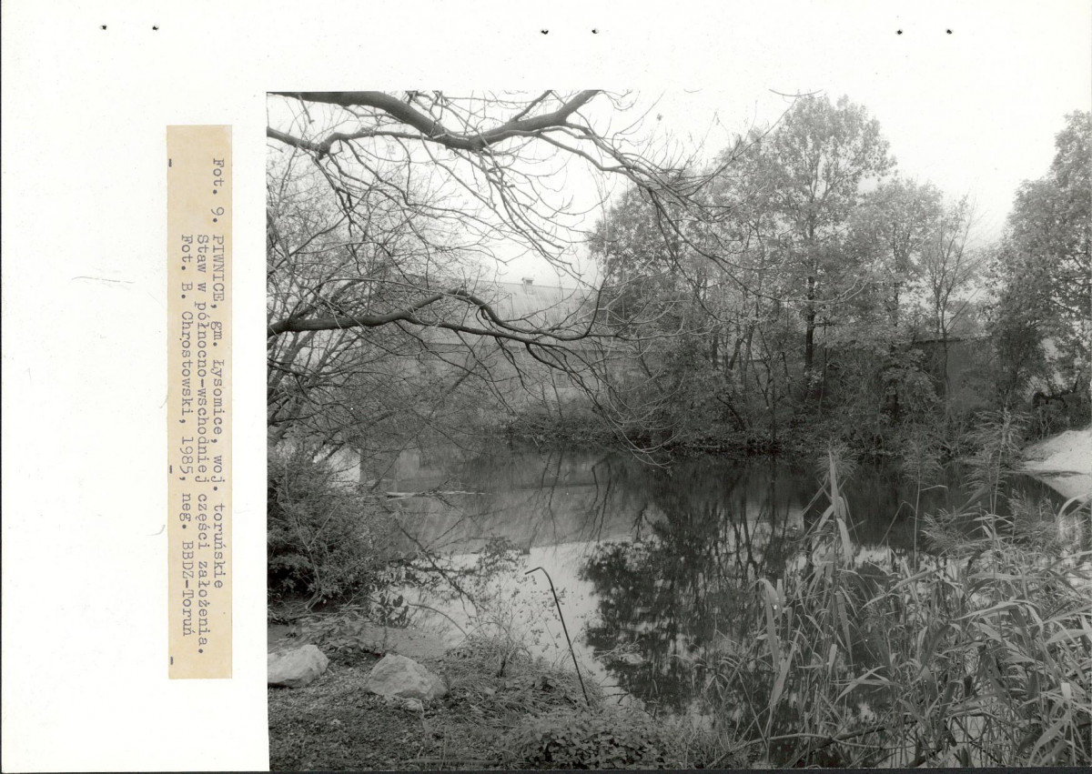 EP - Ewidencja parkowa, skan nr 31