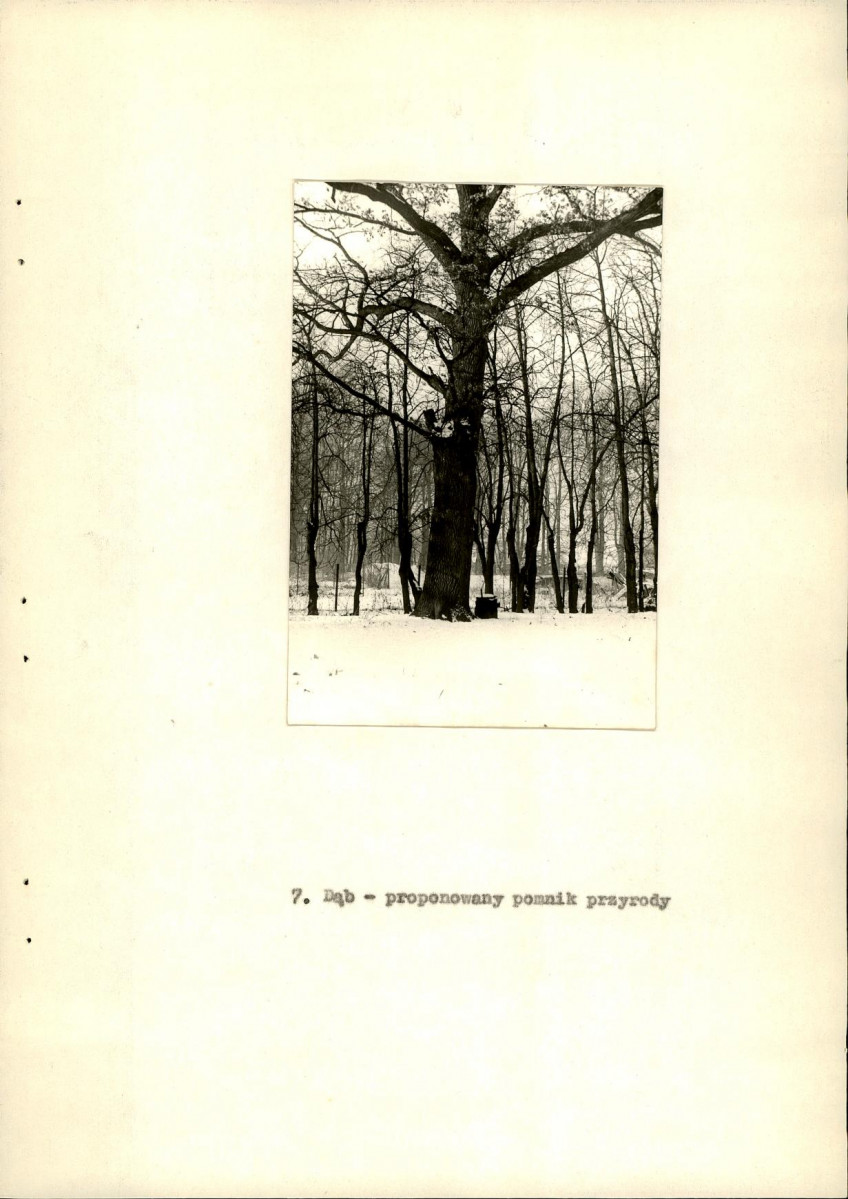 EP - Ewidencja parkowa, skan nr 22
