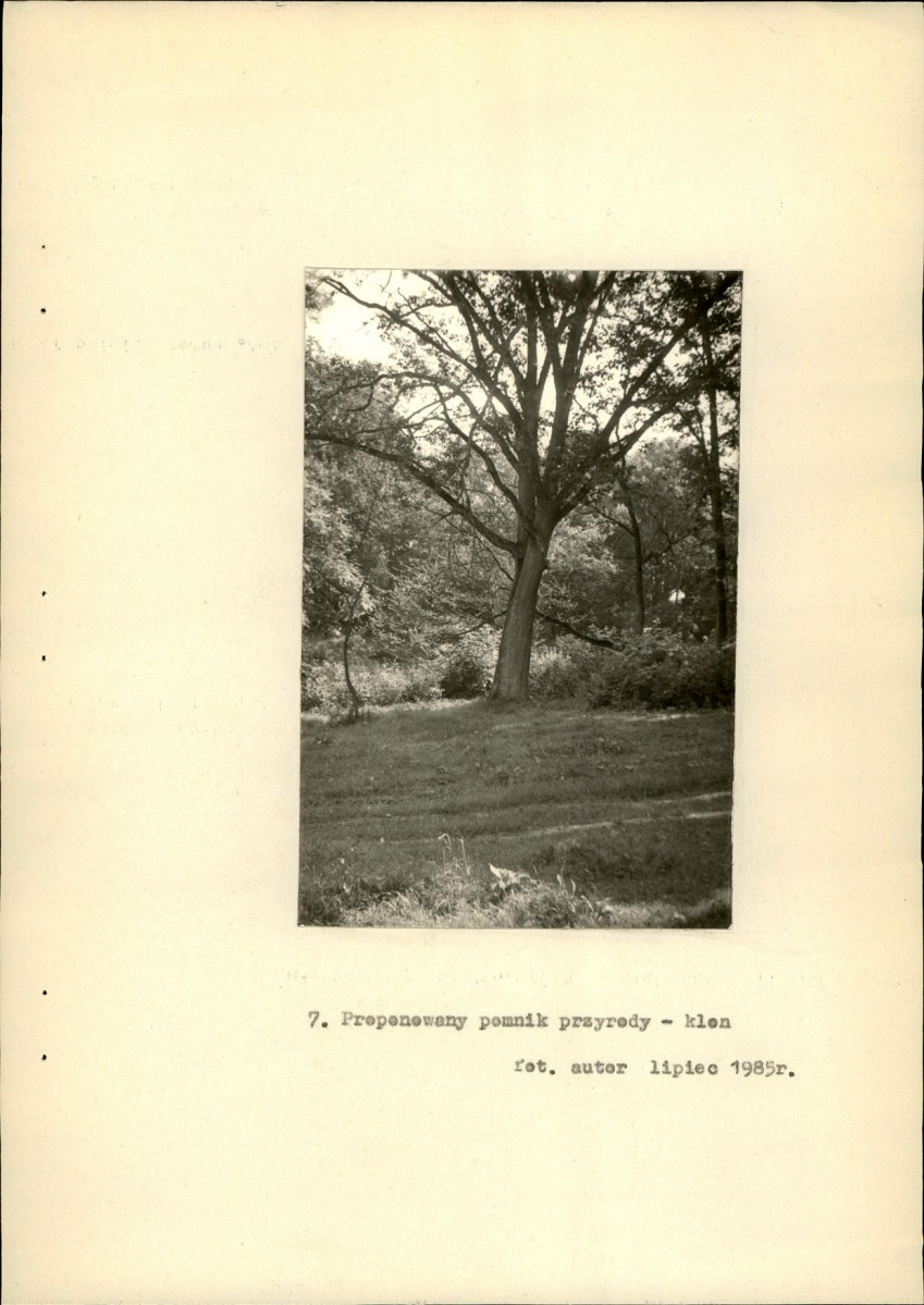 EP - Ewidencja parkowa, skan nr 22