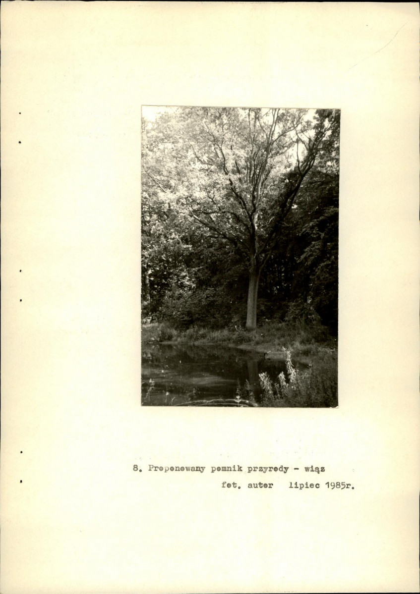 EP - Ewidencja parkowa, skan nr 23