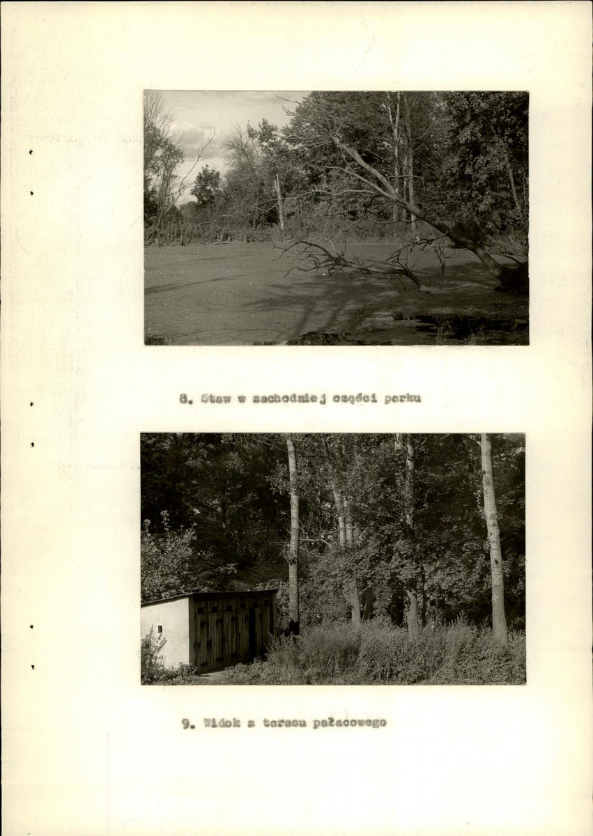 Ewidencja parkowa, skan nr 24