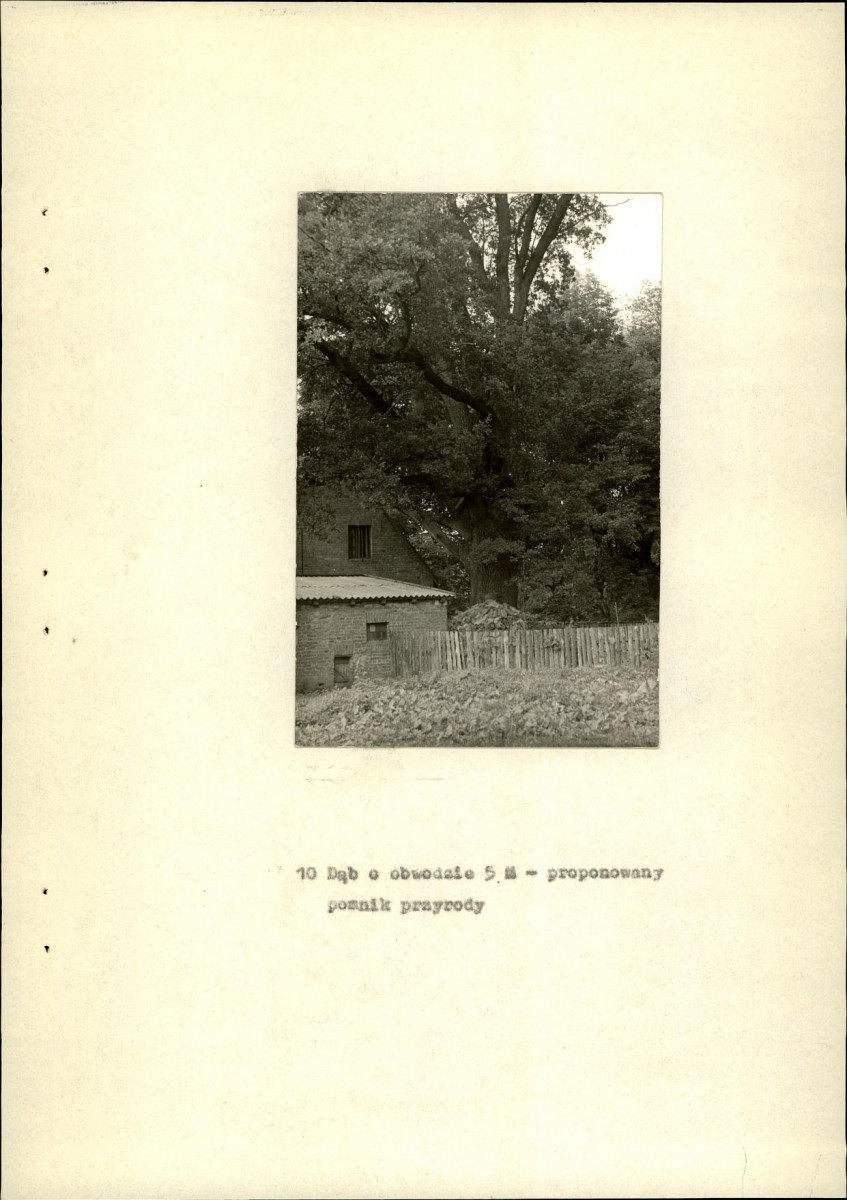 Ewidencja parkowa, skan nr 25