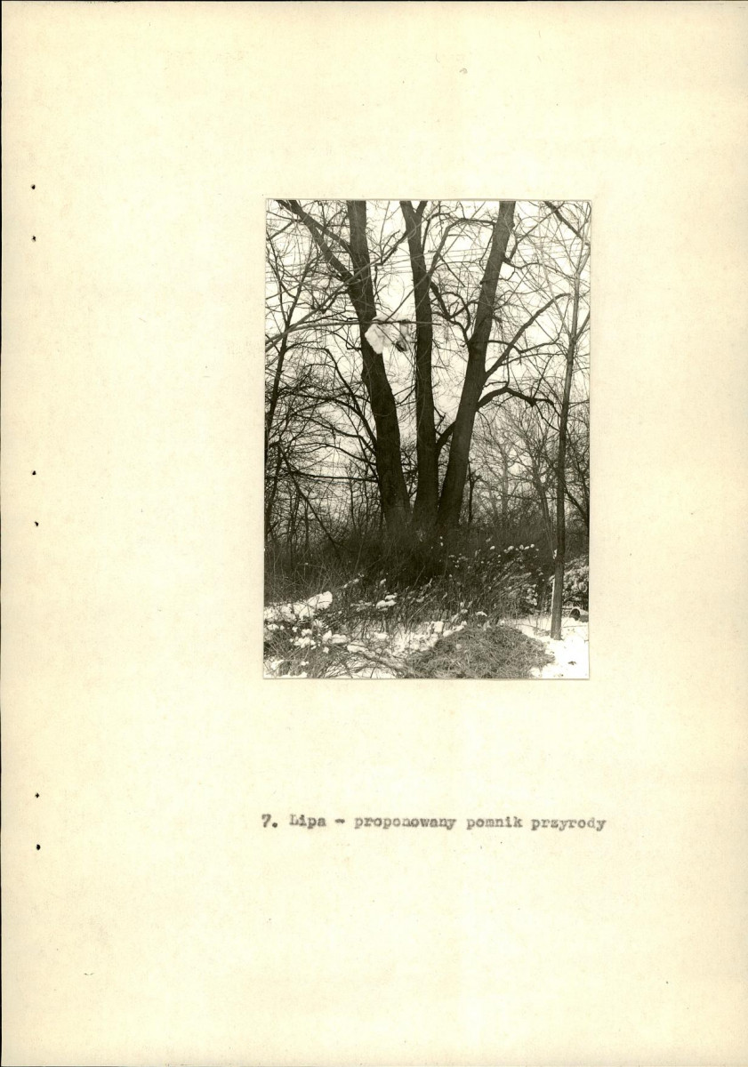 EP - Ewidencja parkowa, skan nr 21
