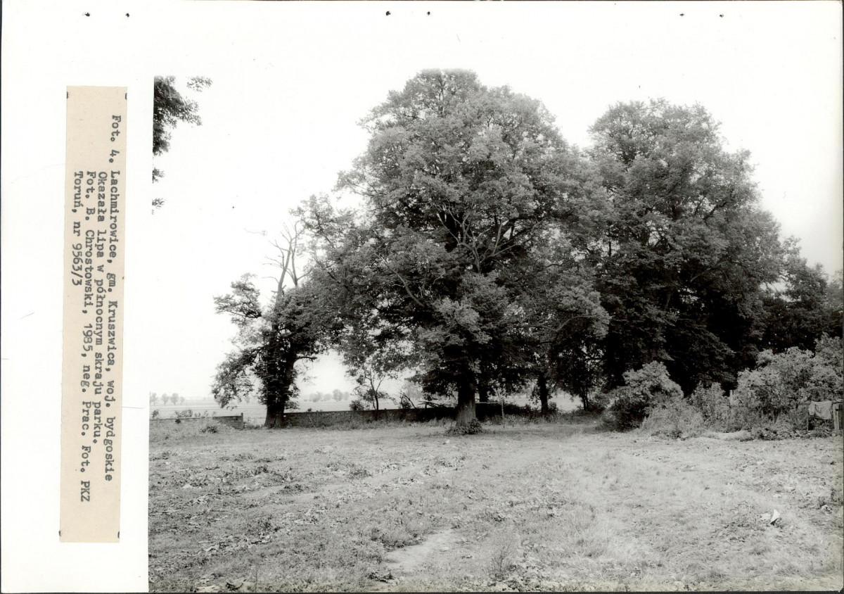 Ewidencja parkowa, skan nr 22