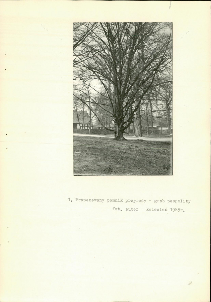 Ewidencja parkowa, skan nr 20
