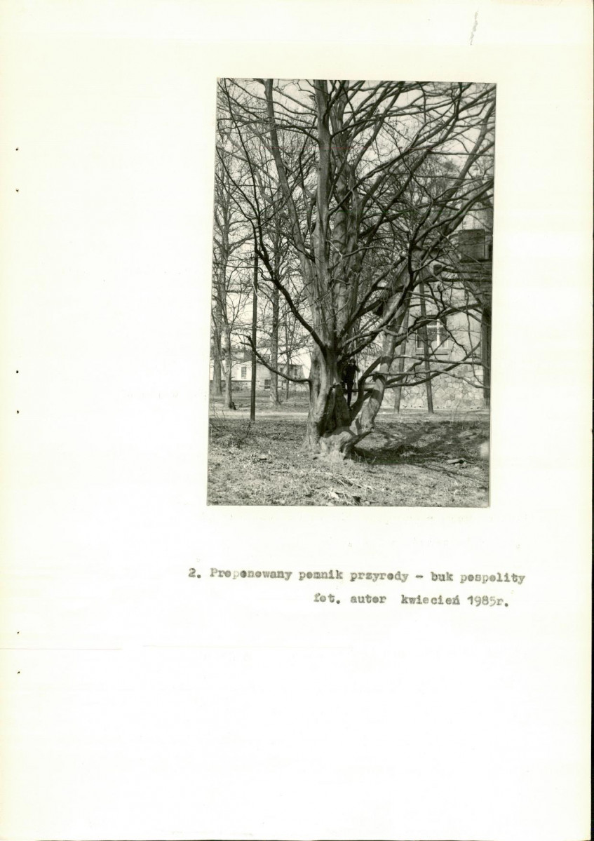 Ewidencja parkowa, skan nr 21
