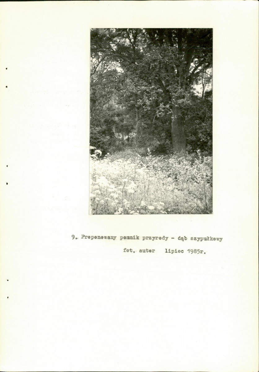 Ewidencja parkowa, skan nr 27