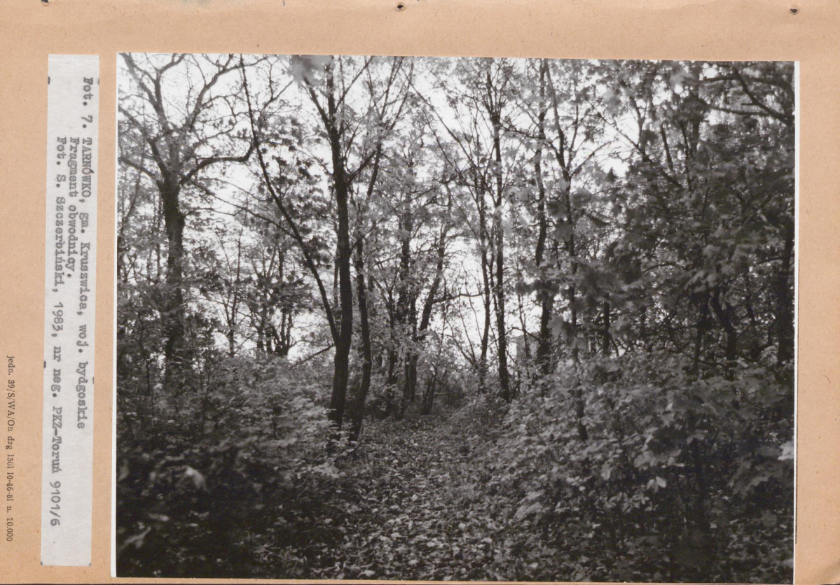 Ewidencja parkowa, skan nr 32