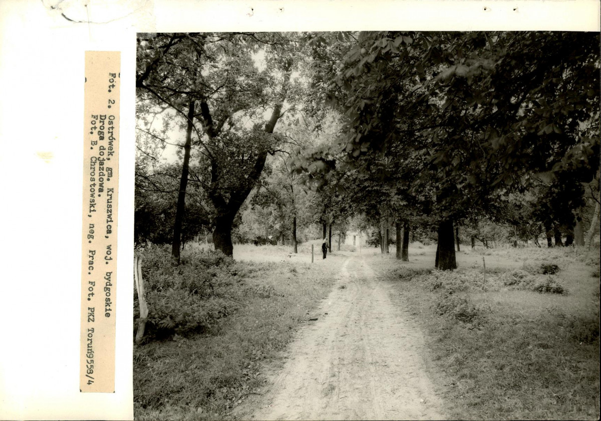 Ewidencja parkowa, skan nr 22