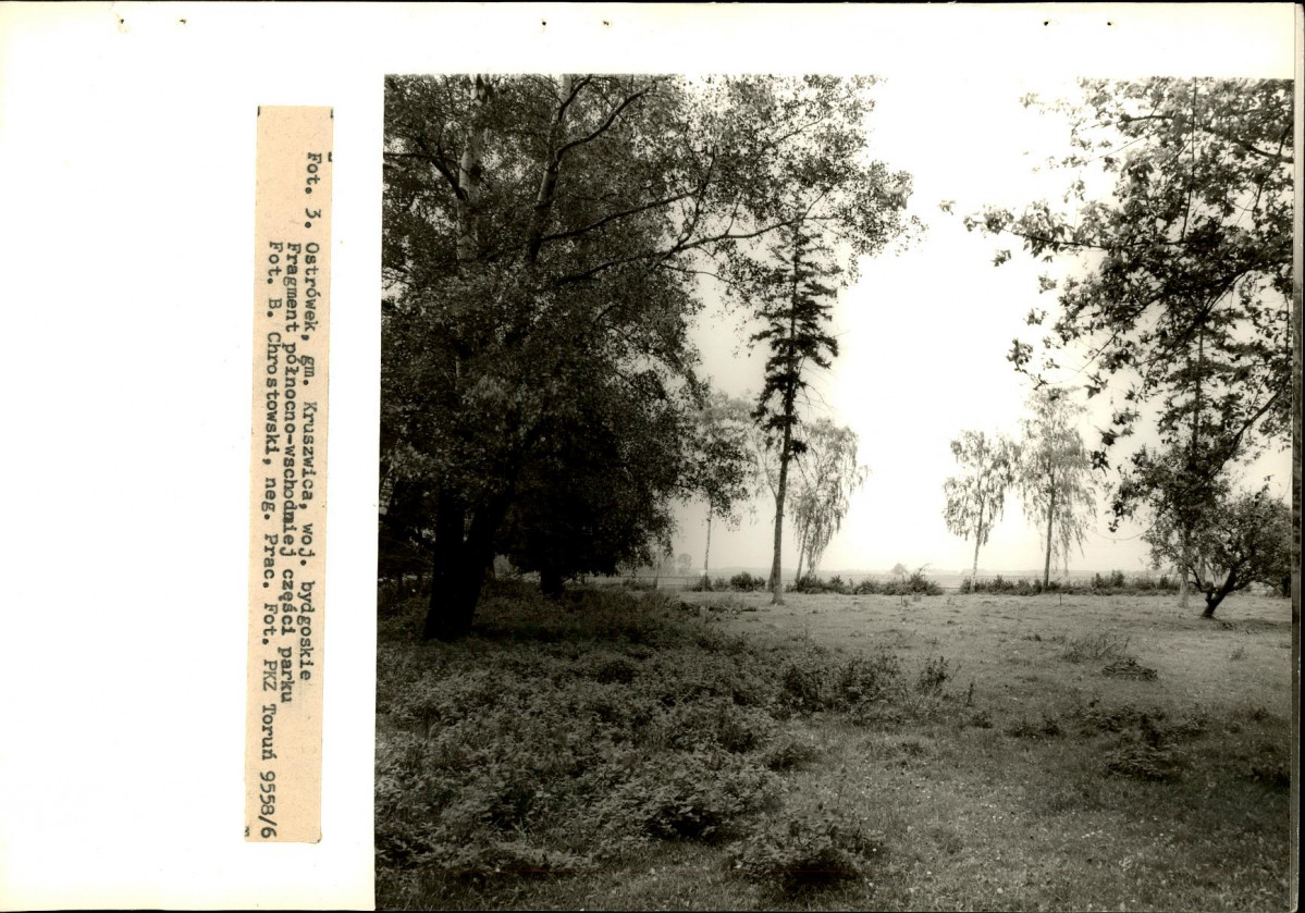 Ewidencja parkowa, skan nr 23