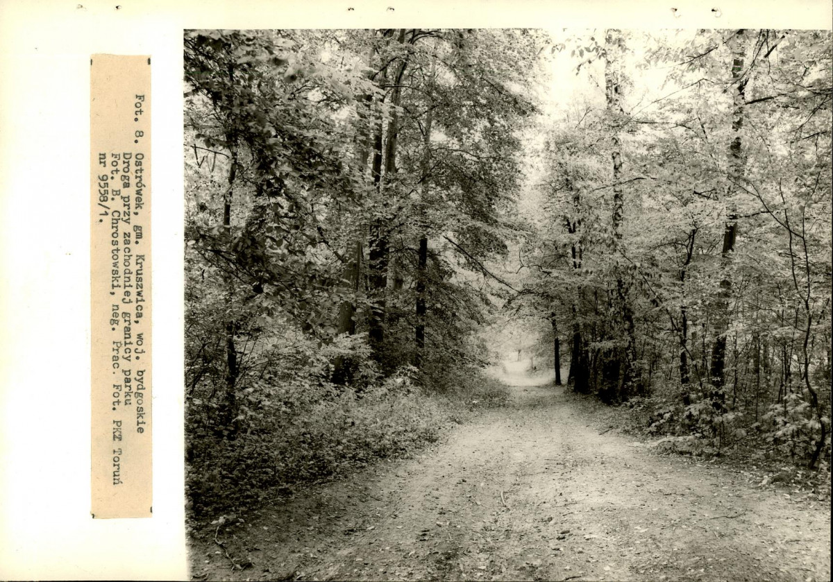 Ewidencja parkowa, skan nr 28