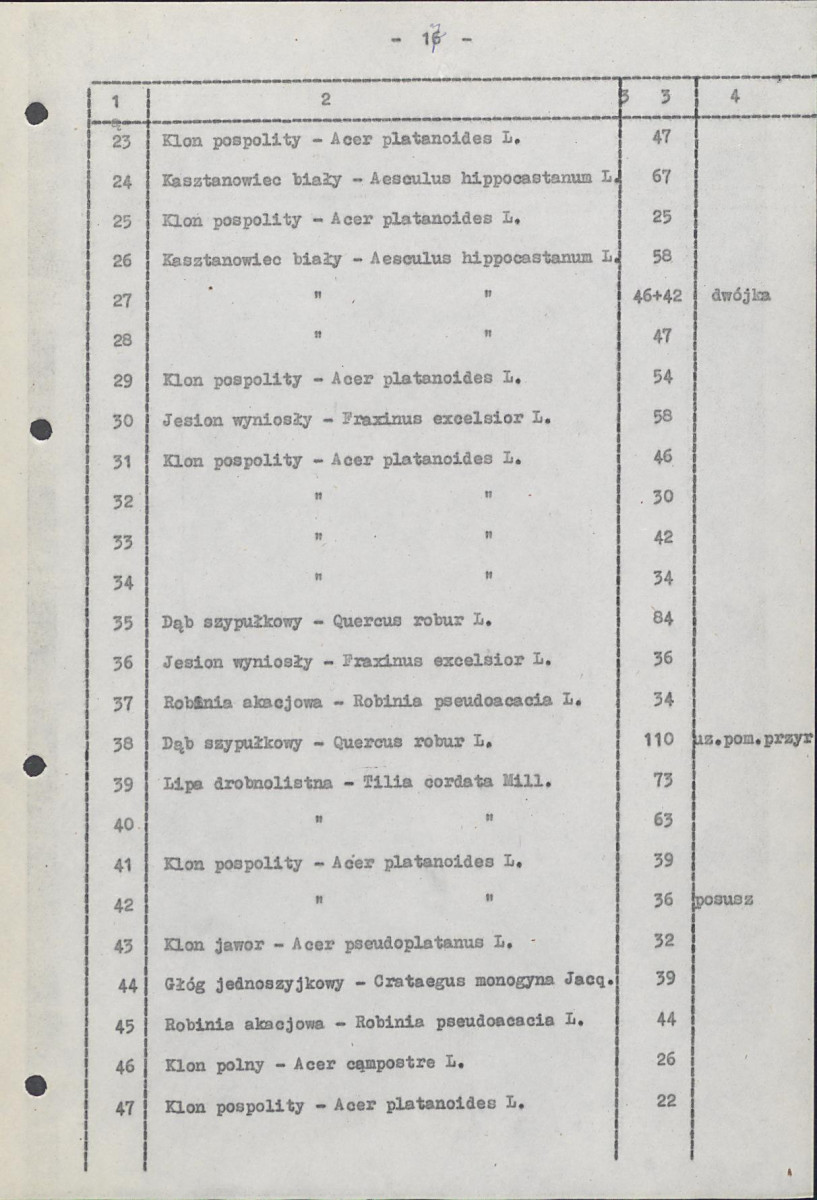 EP - Ewidencja parkowa, skan nr 28