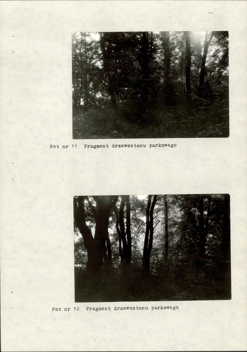 EP - Ewidencja parkowa, skan nr 31