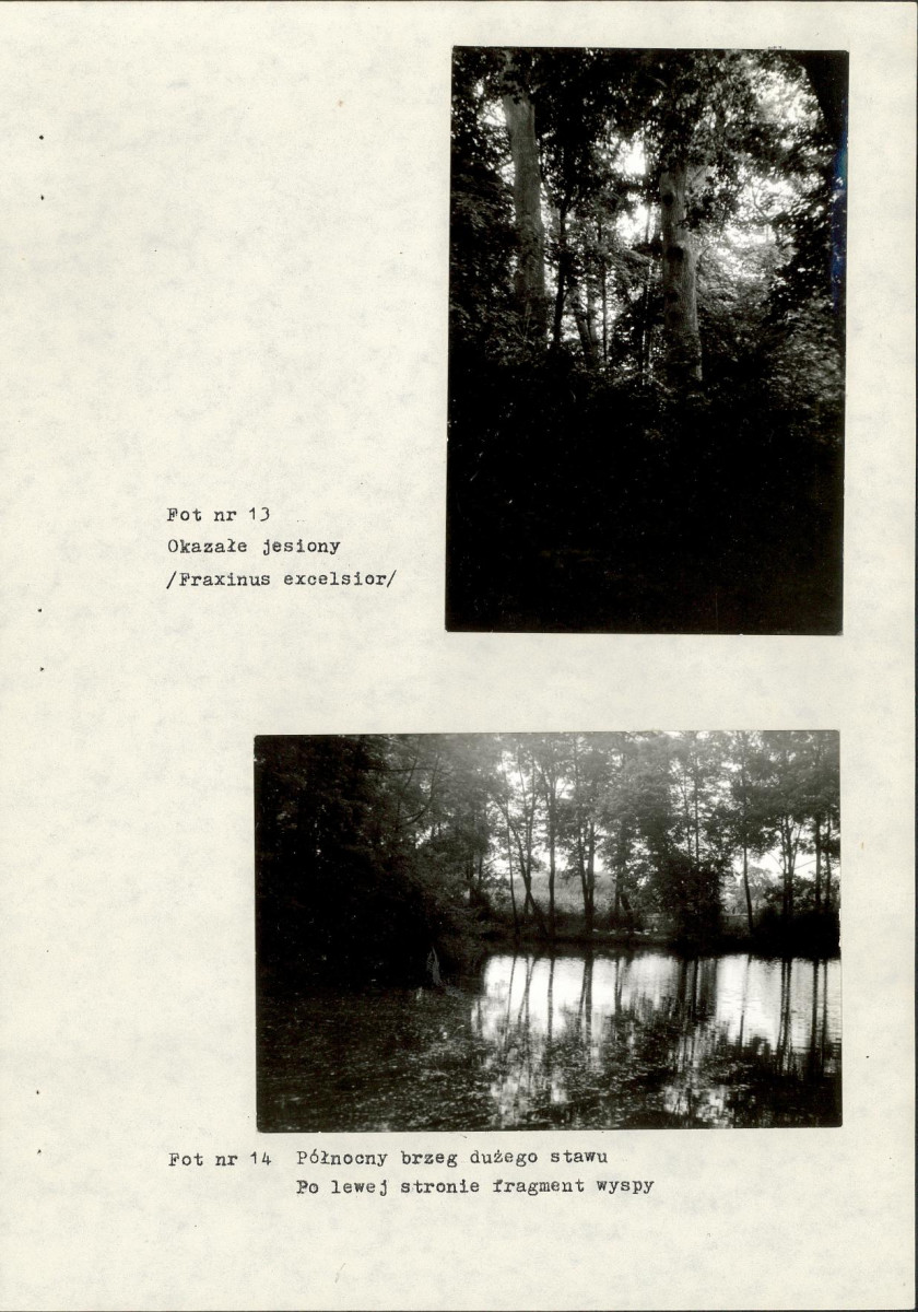 EP - Ewidencja parkowa, skan nr 32