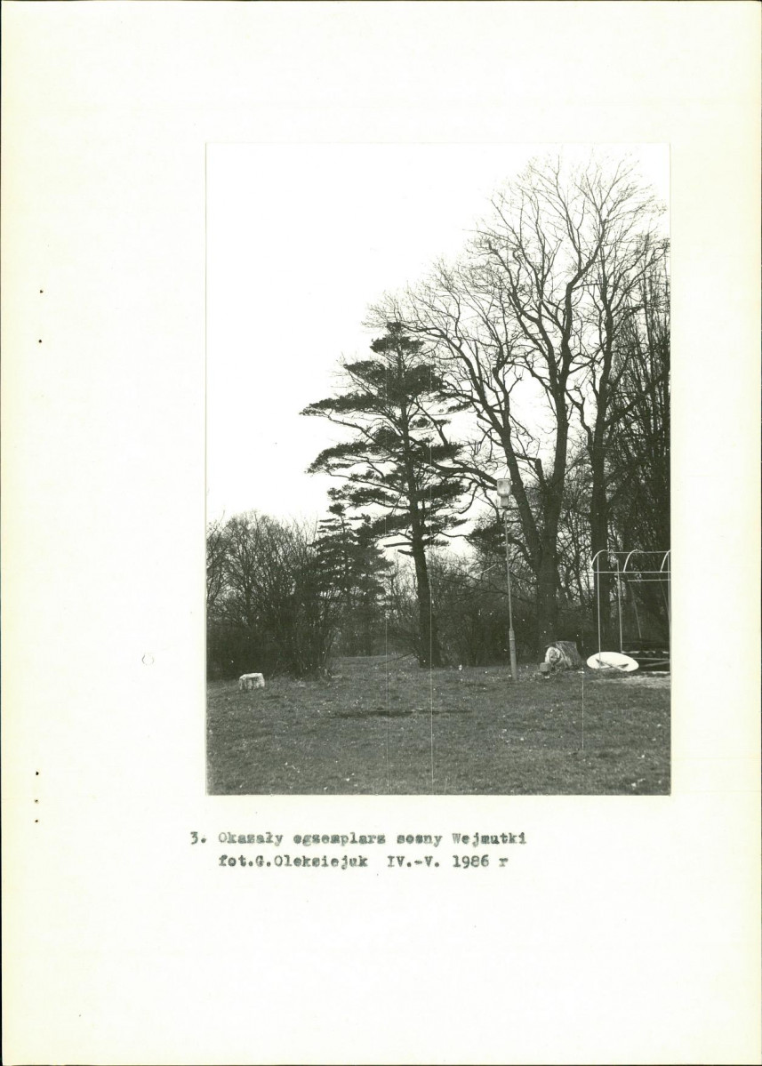 Ewidencja parkowa, skan nr 19