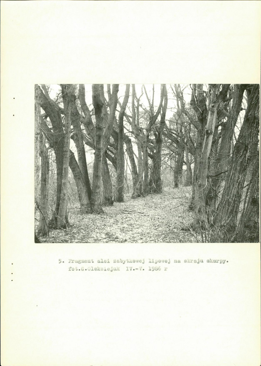 Ewidencja parkowa, skan nr 21