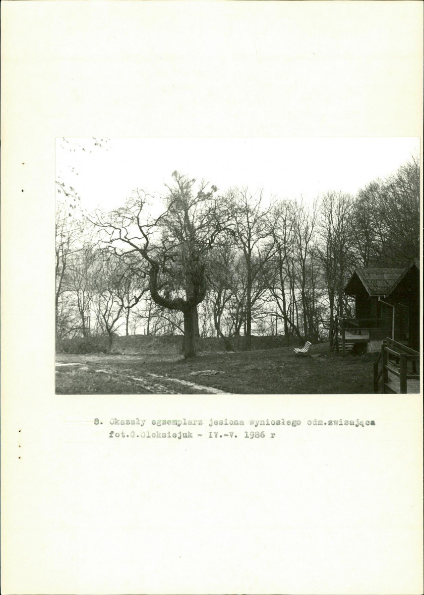 Ewidencja parkowa, skan nr 24