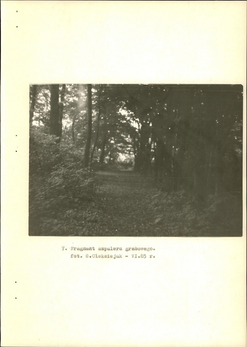 EP - Ewidencja parkowa, skan nr 25