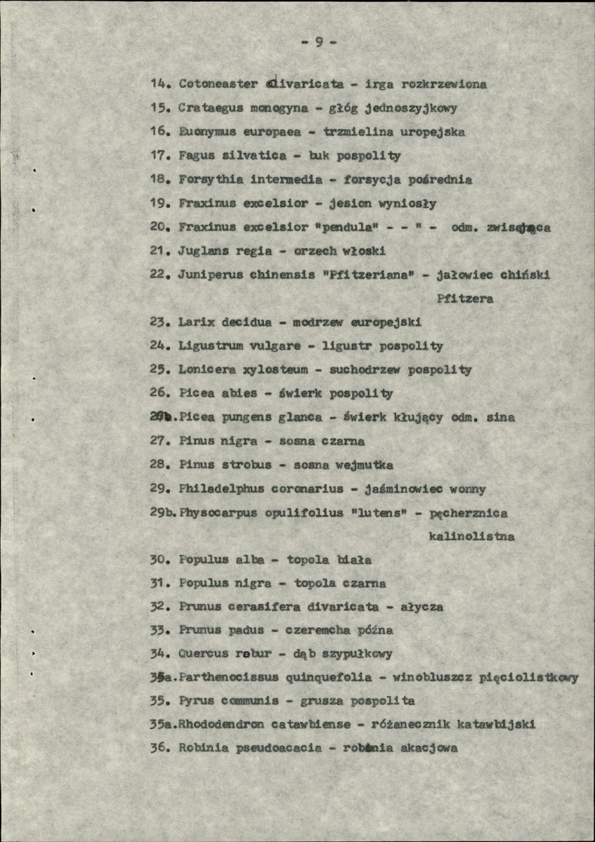 Ewidencja parkowa, skan nr 17