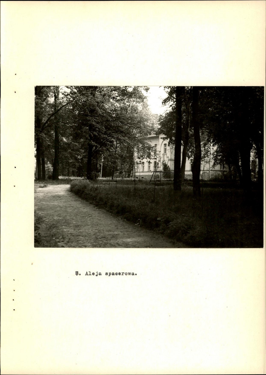 Ewidencja parkowa, skan nr 29