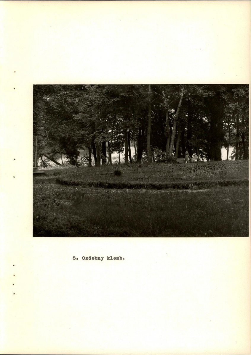 Ewidencja parkowa, skan nr 30