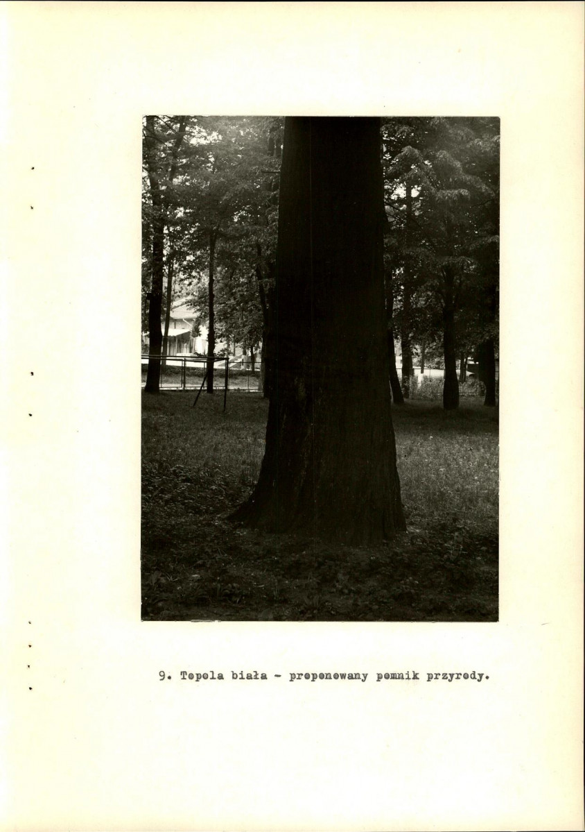 Ewidencja parkowa, skan nr 31
