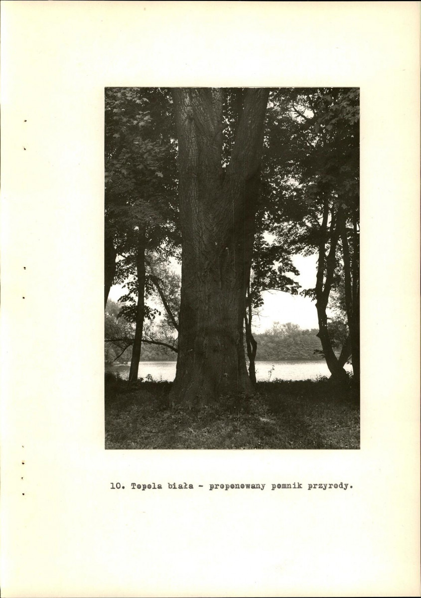Ewidencja parkowa, skan nr 32