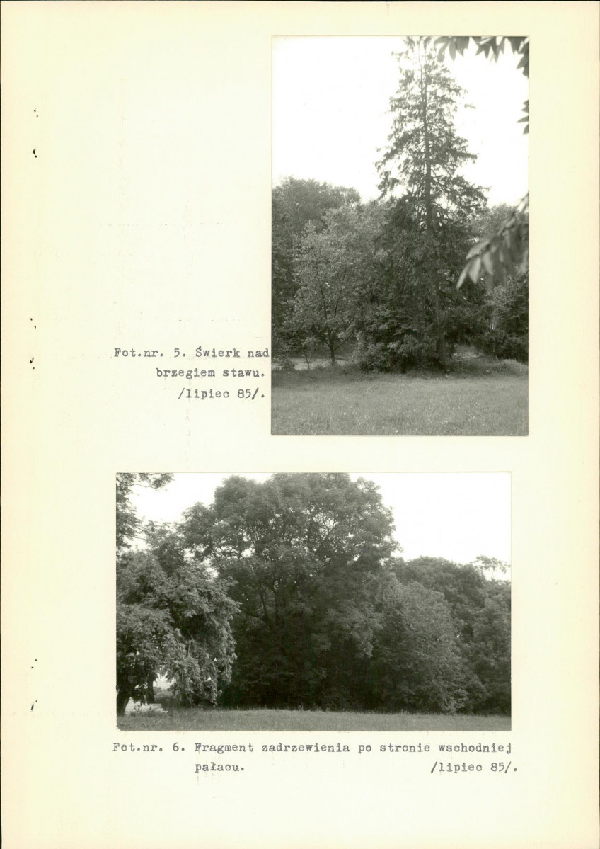 Ewidencja parkowa, skan nr 26