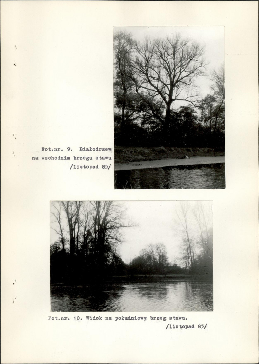Ewidencja parkowa, skan nr 28