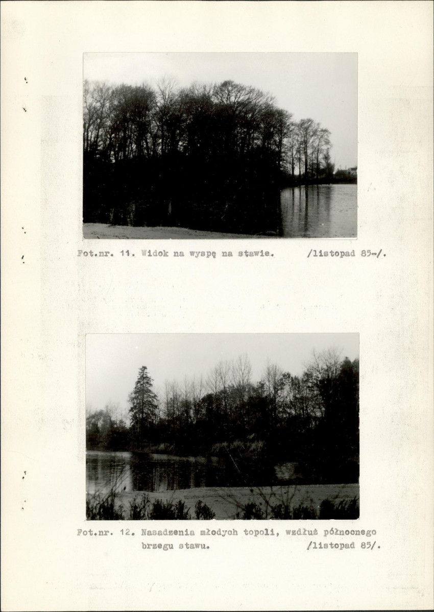 Ewidencja parkowa, skan nr 29
