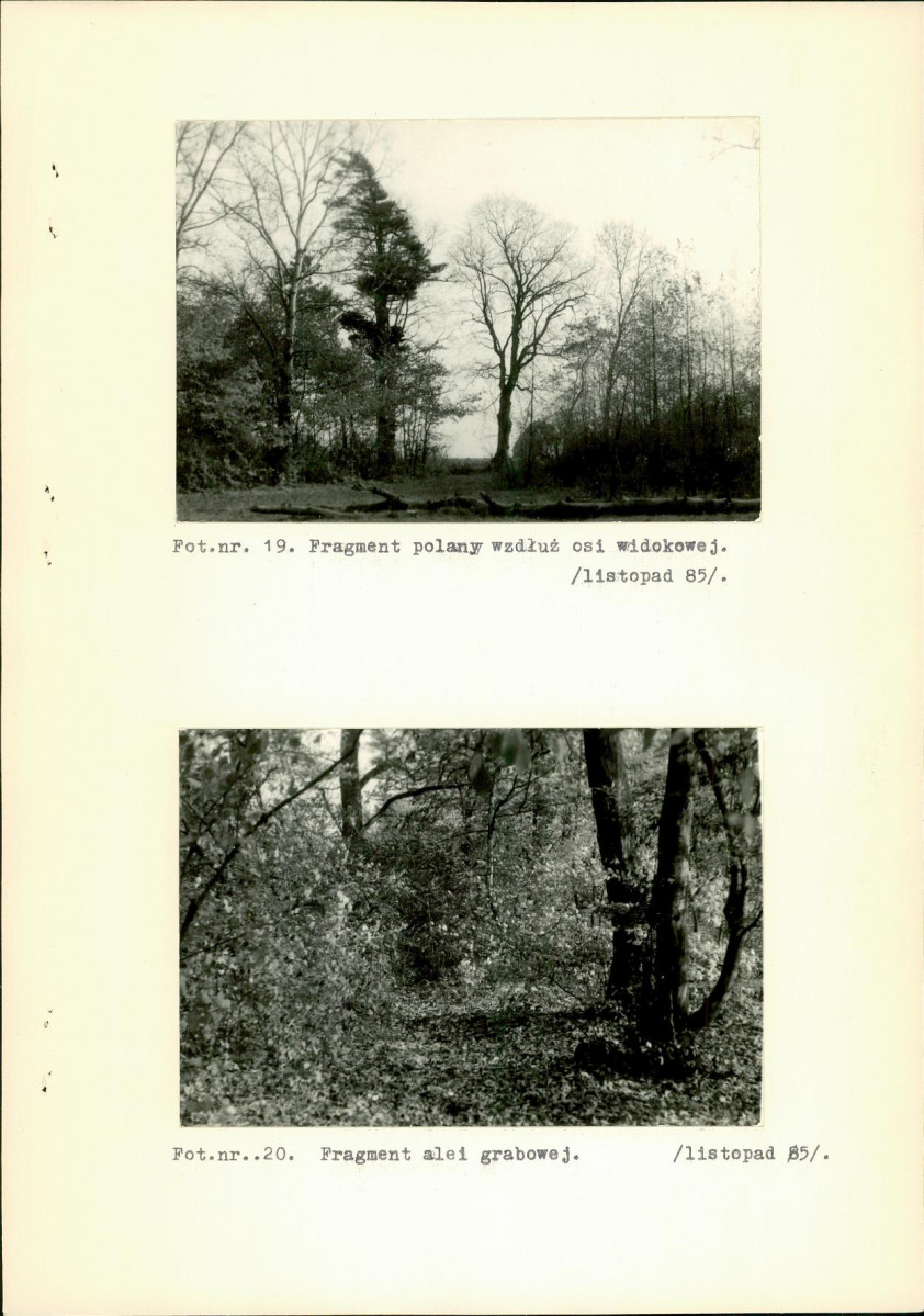 Ewidencja parkowa, skan nr 33