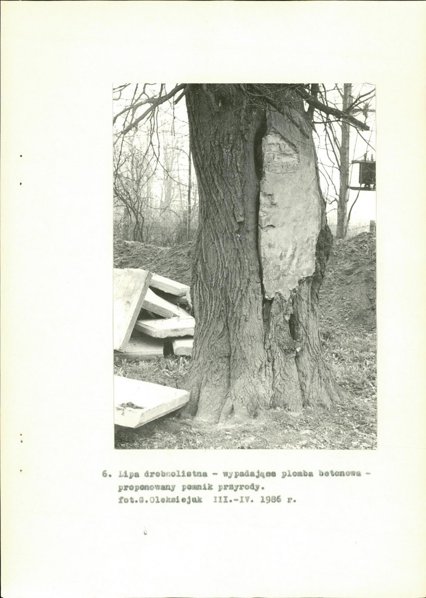 Ewidencja parkowa, skan nr 24