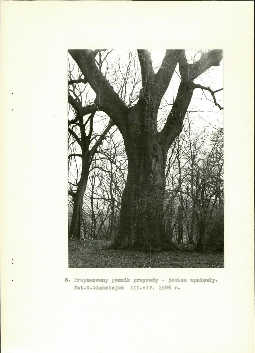 Ewidencja parkowa, skan nr 26