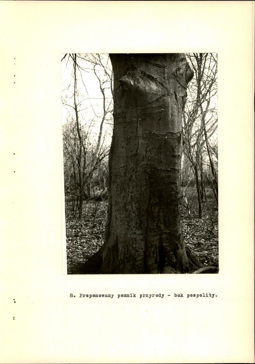 Ewidencja parkowa, skan nr 28