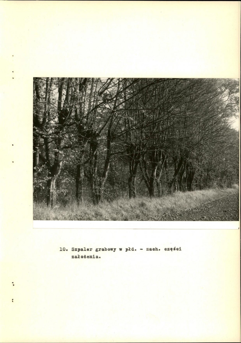 Ewidencja parkowa, skan nr 30