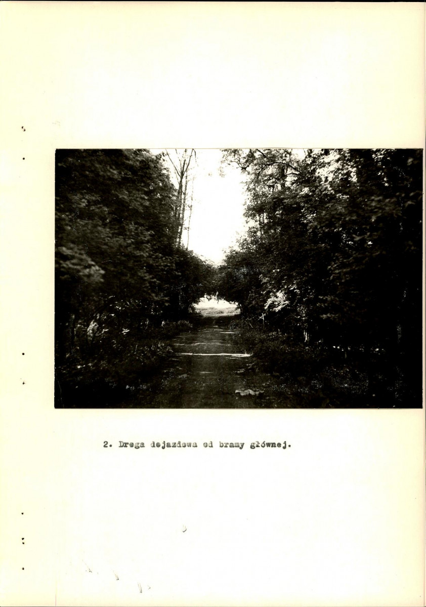 Ewidencja parkowa, skan nr 26