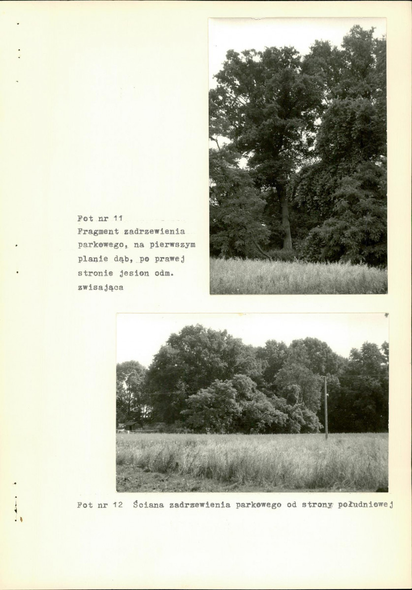 Ewidencja parkowa, skan nr 31