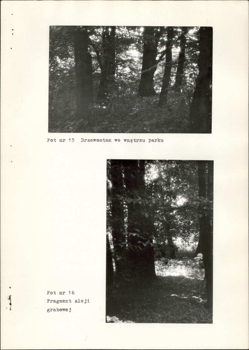 Ewidencja parkowa, skan nr 33