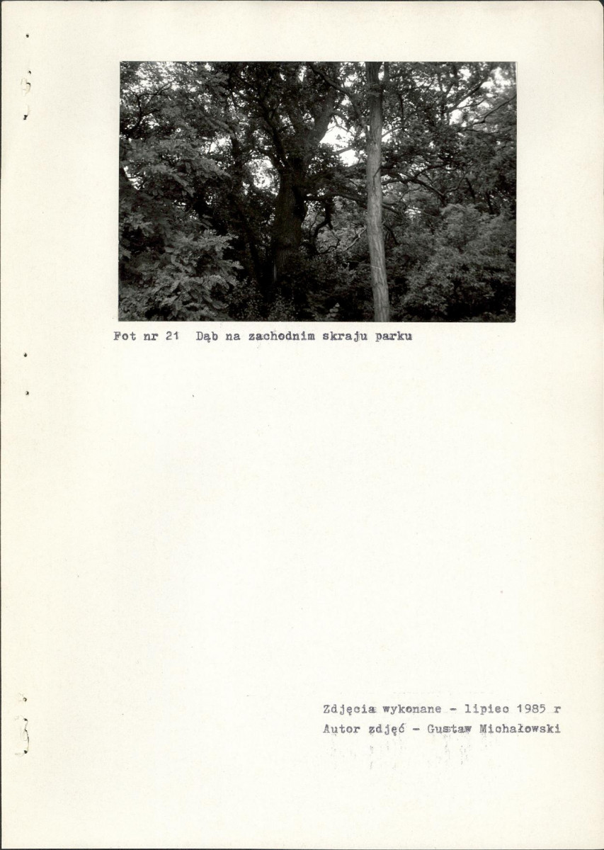 Ewidencja parkowa, skan nr 36