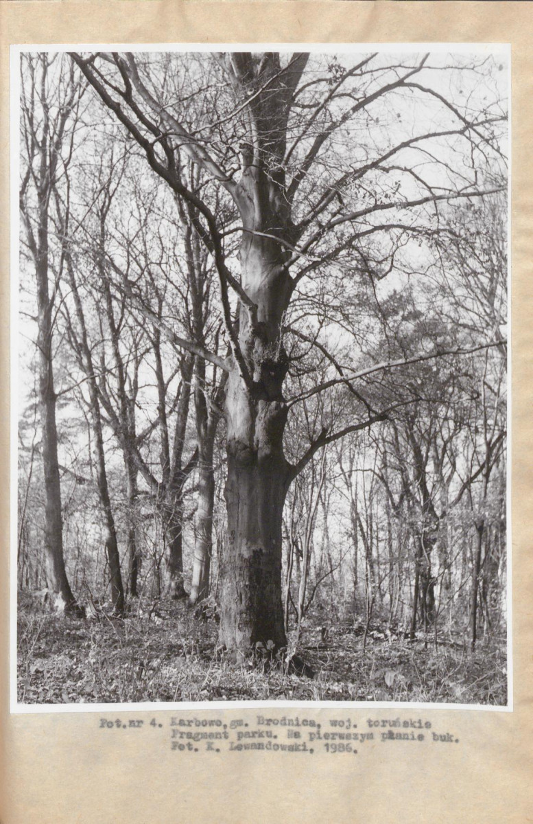 Ewidencja parkowa, skan nr 29
