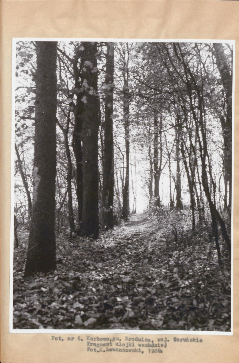 Ewidencja parkowa, skan nr 31