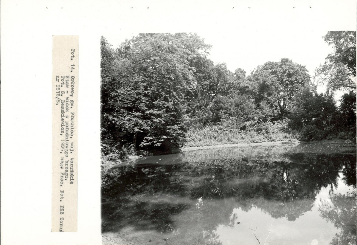 EP - Ewidencja parkowa, skan nr 40