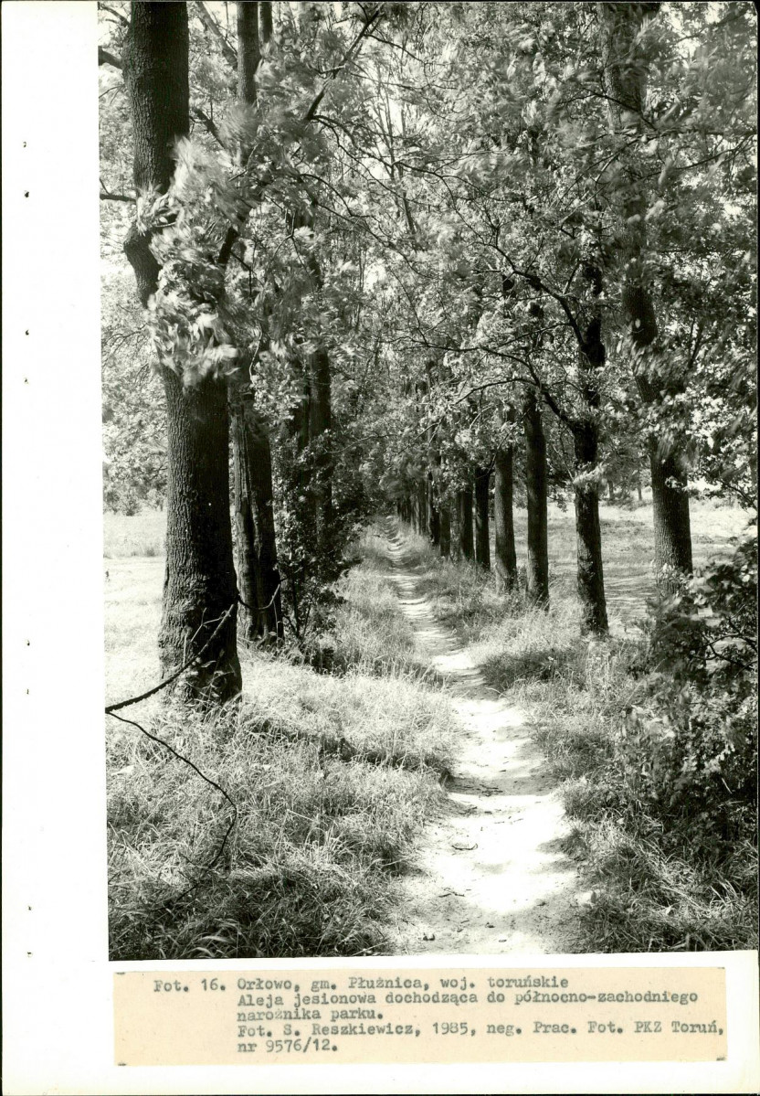 EP - Ewidencja parkowa, skan nr 42