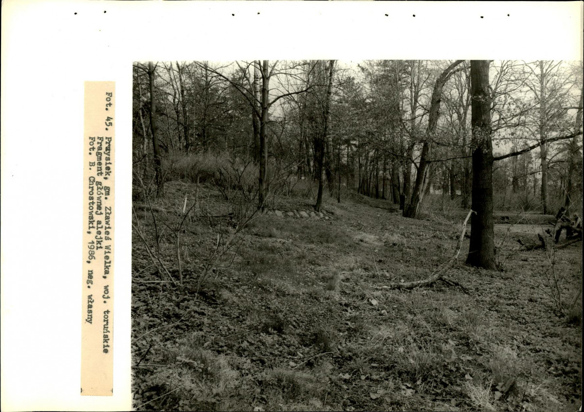 EP - Ewidencja parkowa, skan nr 79