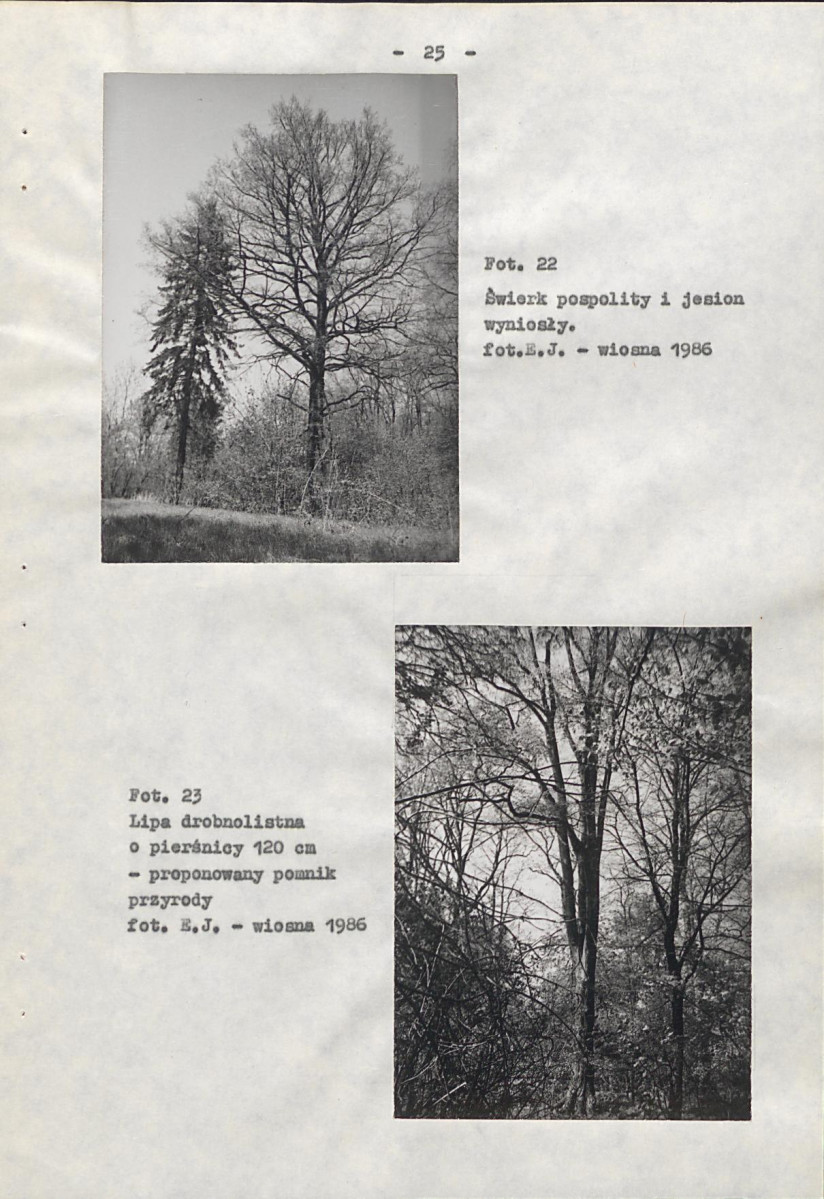 Ewidencja parkowa, skan nr 36
