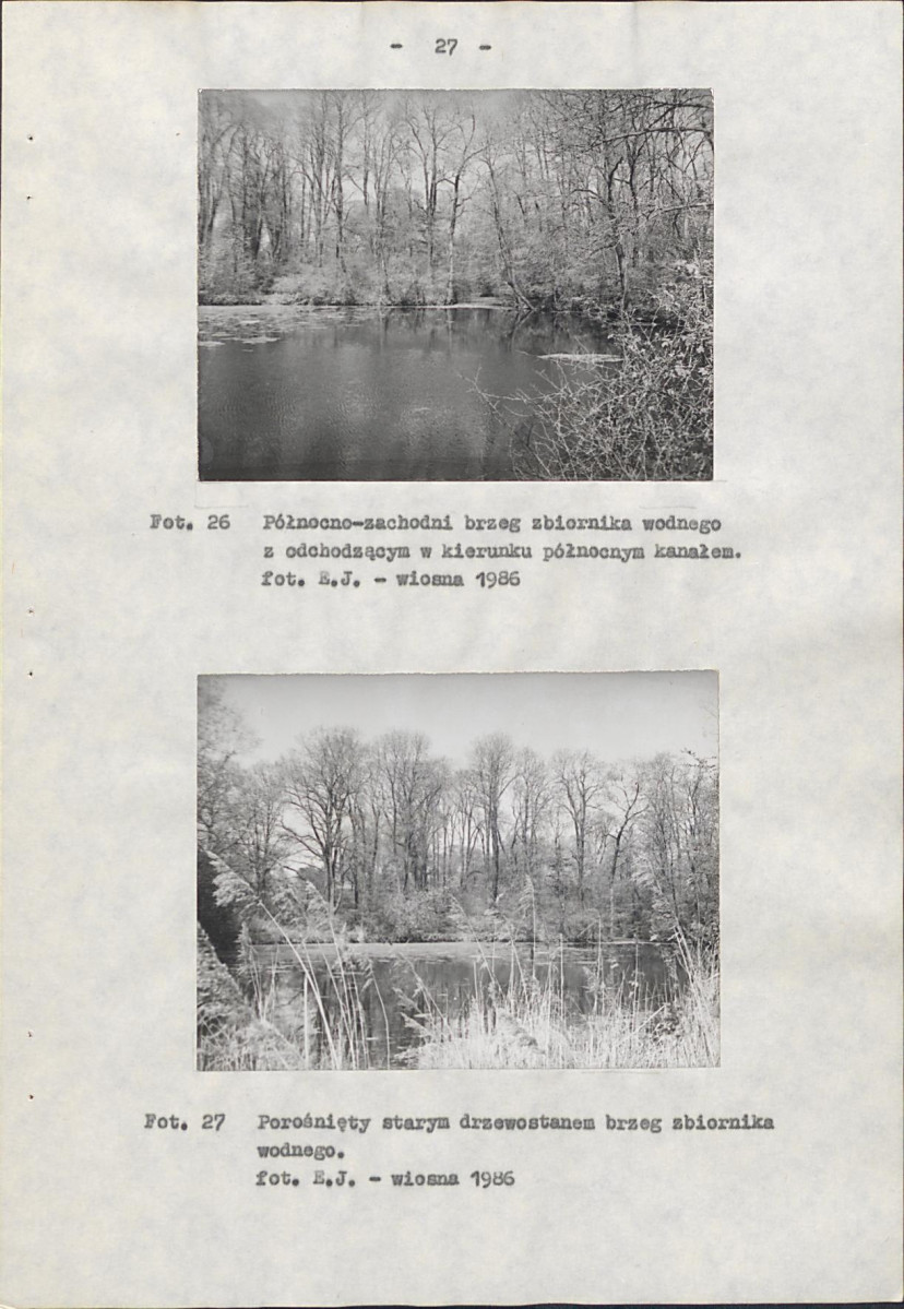 Ewidencja parkowa, skan nr 38