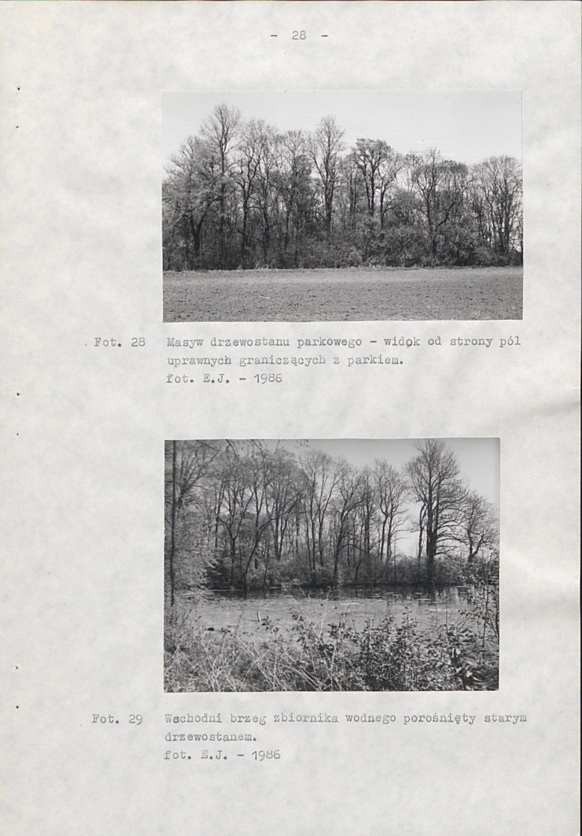 Ewidencja parkowa, skan nr 39